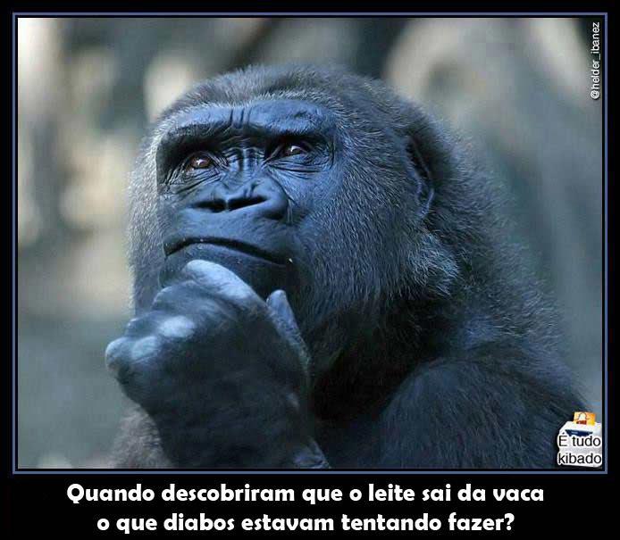 sexo amador em portugal filme de sexo brasileiro sexo amador em portugal filme de sexo brasileiro