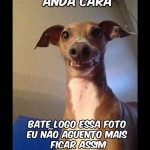 Olha o passarinho!