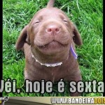 Que dia é hoje?