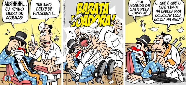 barata voadora